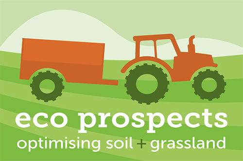 Eco Prospects Logo